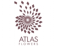  Atlas Flowers
