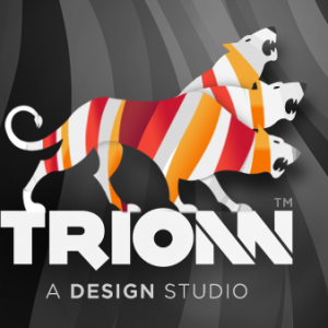  Trionn Design
