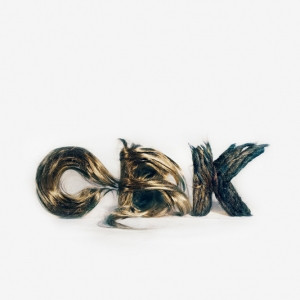Hair logo of chickenbrainken